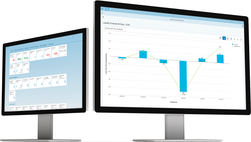 SAP Cash Management