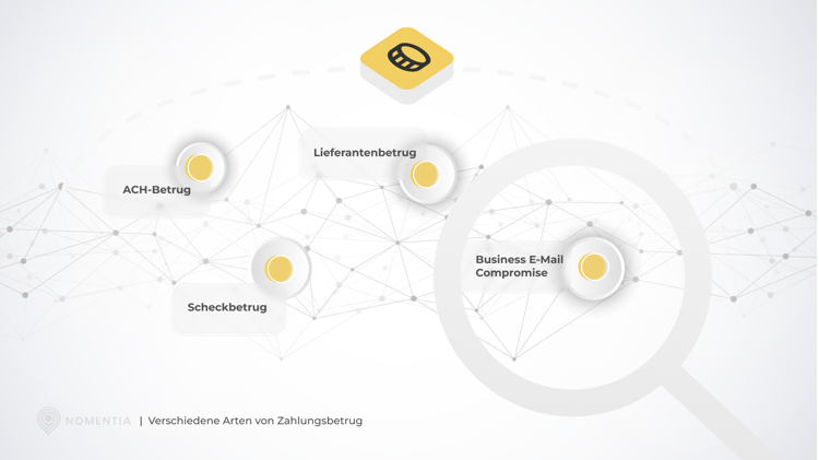 Landscape of payment fraud (DE)