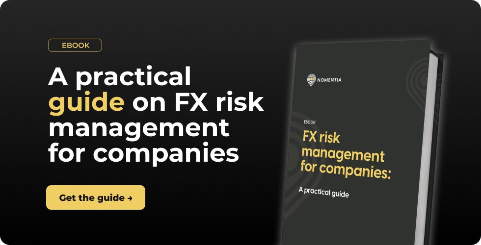FX risk management - main banner